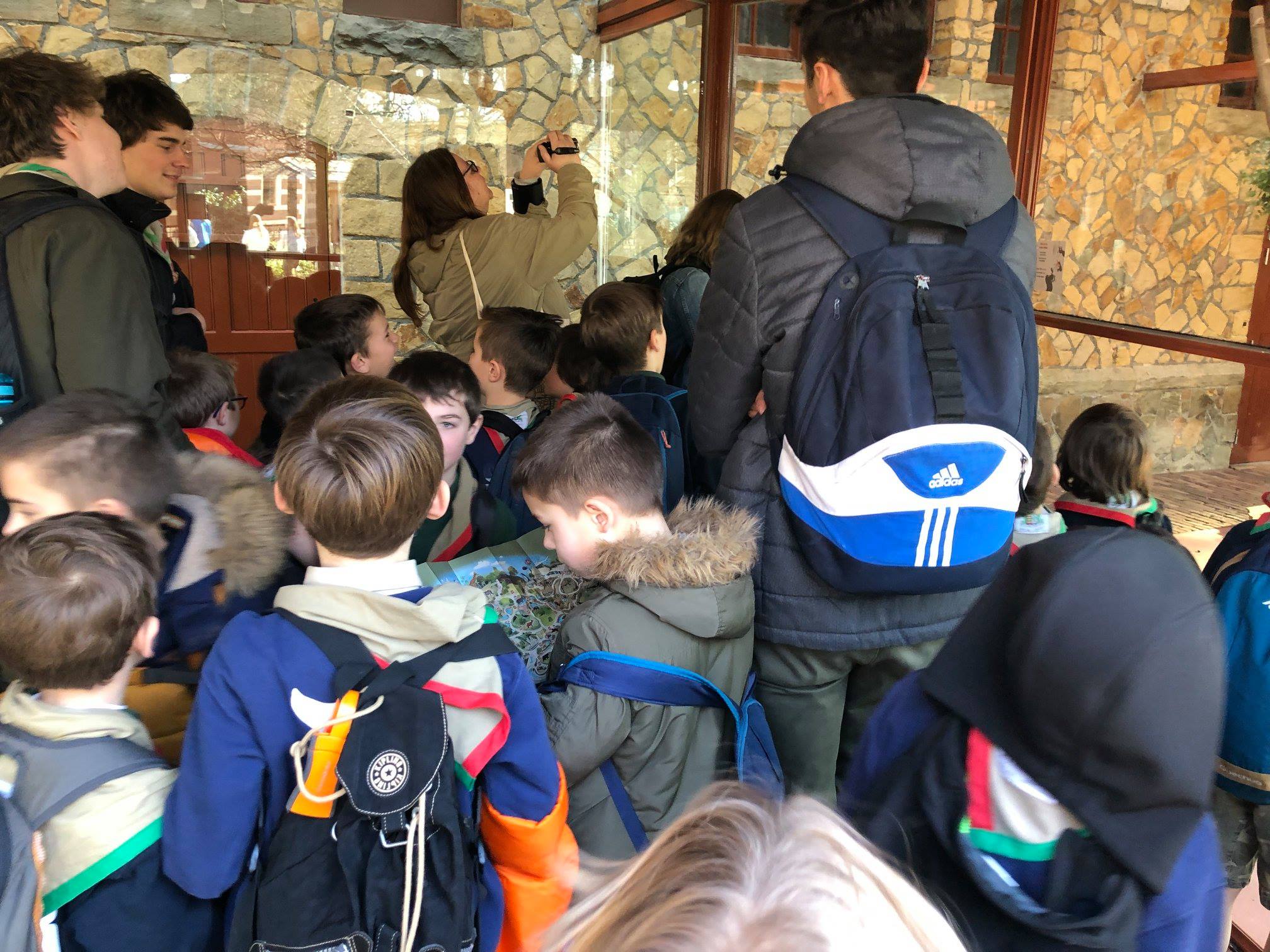 Sint-Martinus den XIIde - Zoo Antwerpen Kapoenen